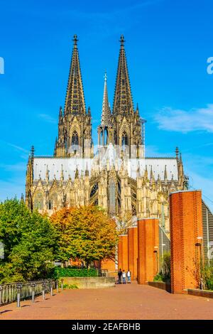 Detail des Kölner Doms Stockfoto