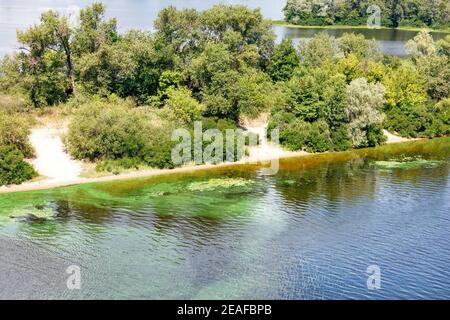 Entlang des Flussufers an der Oberfläche ist das Wasser mit einem Film von blau-grünen Algen bedeckt. Speicherplatz kopieren. Stockfoto