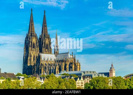 Detail des Kölner Doms Stockfoto