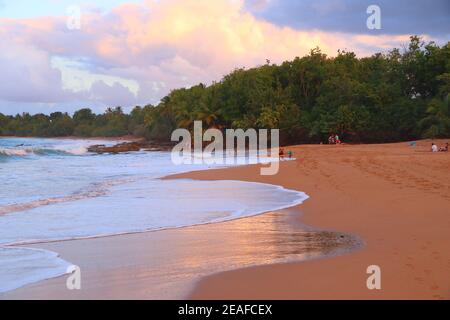 Guadeloupe Sandstrand. Abendlicht. Karibische Urlaubslandschaft. Strand von Clugny (Plage de Clugny). Stockfoto