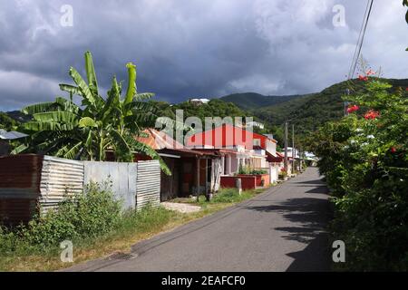 Deshaies Stadt, Guadeloupe. Typische Ortsstraße auf der Insel Basse-Terre. Stockfoto