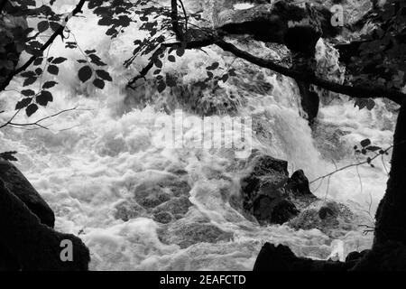 Wasser, das über Felsen stürzt: Fluss Brathay, Great Langdale, Lake District, England Stockfoto