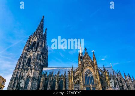 Detail des Kölner Doms Stockfoto