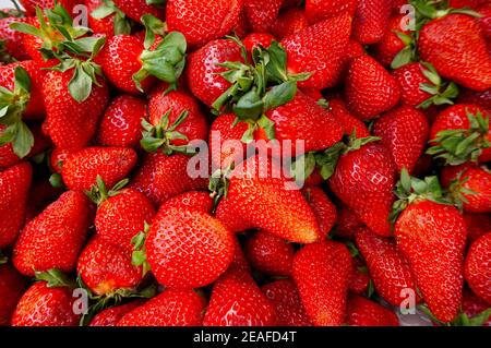 Obst-Hintergrund Stockfoto