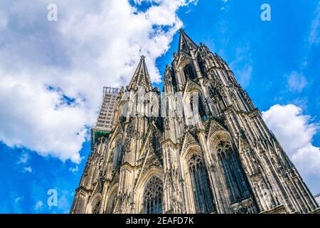 Detail des Kölner Doms Stockfoto