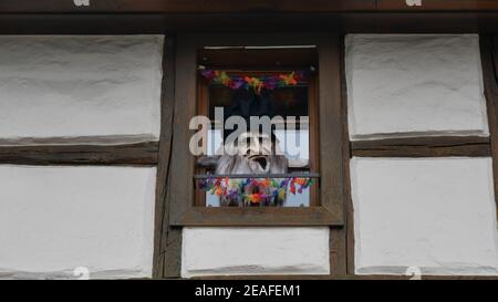 Karnevalsmaske am Fenster mit einem grimmigen Mann Stockfoto