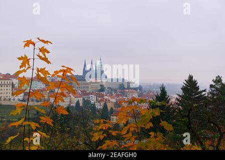 Blick auf Prag von Strahov Kloster, Burg und St. Veits Kathedrale an einem nebligen Tag. Stockfoto
