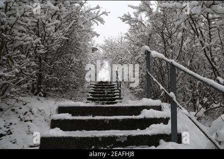 Ein Blick auf die Treppe von unten im Park. Stockfoto