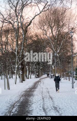 Ein Blick auf die schneebedeckten Wiesen von Edinburgh Stockfoto