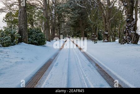 East Lothian, Schottland, Großbritannien, 9th. Februar 2021. UK Wetter: Verschneite Bedingungen mit einer langen geraden Auffahrt mit Schnee bedeckt mit Reifenspuren, die in die Ferne im Winter führen Stockfoto