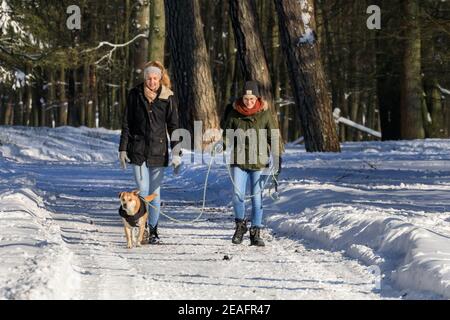 Duelmen, NRW, Deutschland. Februar 2021, 09th. Zwei Wanderer schlendern durch die schönen, sonnigen Wälder des Naturparks Duelmen nach Schneestürmen und unter eisigen Temperaturen in weiten Teilen Deutschlands. Kredit: Imageplotter/Alamy Live Nachrichten Stockfoto