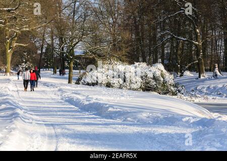 Duelmen, NRW, Deutschland. Februar 2021, 09th. Nach Schneestürmen und unter eisigen Temperaturen in weiten Teilen Deutschlands schlendern Wanderer durch das schöne, sonnige Naturschutzgebiet Duelmen. Kredit: Imageplotter/Alamy Live Nachrichten Stockfoto