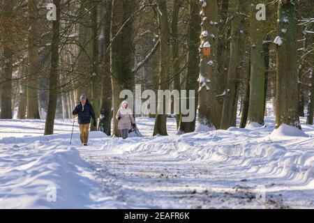 Duelmen, NRW, Deutschland. Februar 2021, 09th. Spaziergänger schlendern durch die schönen, sonnigen Wälder des Naturparks Duelmen nach Schneestäumen und unter eisigen Temperaturen in weiten Teilen Deutschlands. Kredit: Imageplotter/Alamy Live Nachrichten Stockfoto