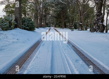 East Lothian, Schottland, Großbritannien, 9th. Februar 2021. UK Wetter: Verschneite Bedingungen mit einer langen geraden Auffahrt mit Schnee bedeckt mit Reifenspuren, die in die Ferne im Winter führen Stockfoto