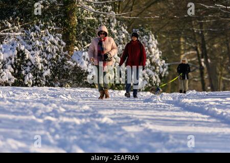 Duelmen, NRW, Deutschland. Februar 2021, 09th. Spaziergänger schlendern durch die schönen, sonnigen Wälder des Naturparks Duelmen nach Schneegestampfungen und unter eisigen Temperaturen in weiten Teilen Deutschlands. Kredit: Imageplotter/Alamy Live Nachrichten Stockfoto