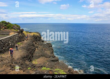 Wandertour, Wandergruppe, Pico Insel, entlang des Atlantiks, Azoren. Stockfoto