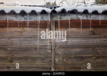 Große gefrorene Eiszapfen hängen von der Seite einer Wellpappe Dach des Gartenschuppens bei kalten Winterbedingungen im Februar 2021 Lincolnshire UK Stockfoto