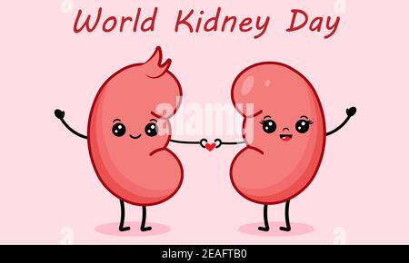 Paar niedliche Cartoon Niere Charaktere Herz für World Niere Day halten. Vektorgrafik für Banner, Header, Poster, Karte, etc Stock Vektor