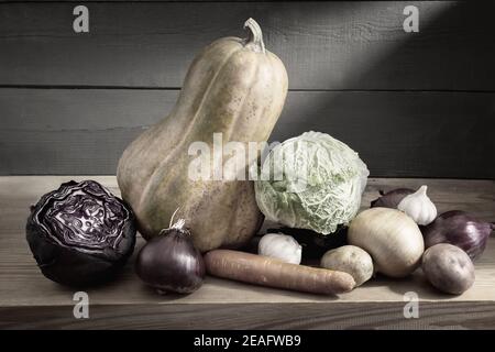 Stillleben: Auf einem Holzregal im Keller sind Kürbisse, Karotten, Rotkohl und Weißkohl. Vorderansicht, Kopierbereich Stockfoto