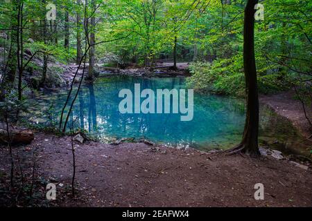 Ochiul Beiului, ein kleiner smaragdgrüner See an der Nera-Schlucht im Beusnita-Nationalpark in Rumänien Stockfoto