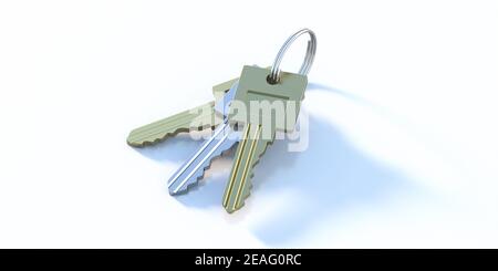 Tasten in einem Schlüsselring auf weißem Hintergrund isoliert gesetzt. Goldene und silberne Schlüssel, Symbol für den Zugang zu Unternehmen, Haus, Immobilien, Sicherheit und Privatsphäre. 3D Abb. Stockfoto