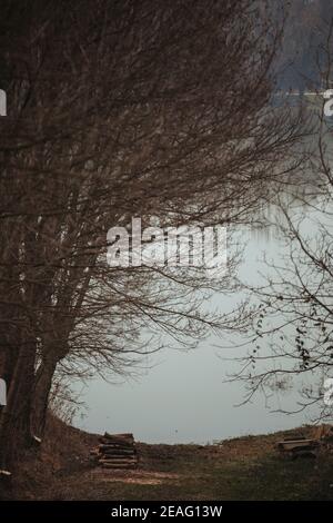 Vertikale Aufnahme eines ruhigen Sees umgeben von Bäumen Stockfoto