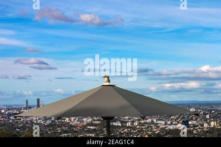 Ein Kookaburra Vogel thront auf einem Regenschirm bei Der Aussichtspunkt auf Mt Coot-tha mit Blick auf Brisbane in Queensland Australien Stockfoto