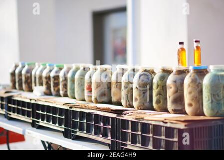 Eine Reihe von drei-Liter-Gläser eingelegte Pilze zum Verkauf Unter der Sonne Stockfoto