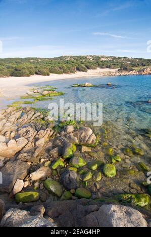 Kristallklares Wasser und weißer Sand am Strand von Cala Cipolla, Chia, Sardinien Stockfoto