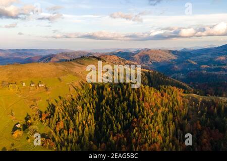 Luftaufnahme des entfernten Dorfes mit kleinen Schäferhäusern auf Weite Hügelwiesen zwischen Herbstwäldern in der ukrainischen Karpaten Berge bei Sonnenuntergang Stockfoto