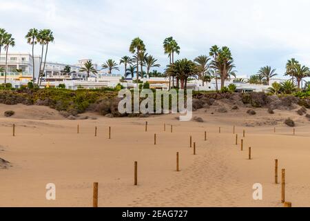 Eintritt in die Dünen natürlichen reserva in Playa del Ingles, Gran Canaria, Spanien. Stockfoto