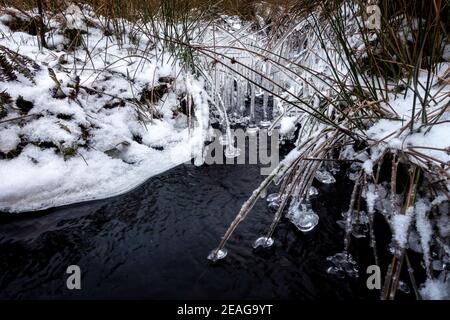 Atemberaubend schöne Eisformationen in Storm Darcy - die Eisklänge hängen über einem Bach auf dem verschneiten Burley Moor, Ilkley, West Yorkshire, UK Stockfoto