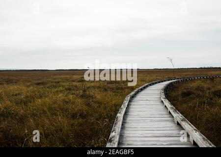 Landschaft von einem Holzweg, wo Sie in wandern können Die Feuchtgebiete von Kushiro Stockfoto