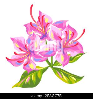 Illustration der tropischen Azaleen Blume. Stock Vektor