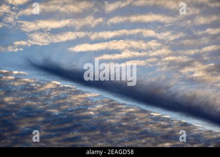 Eine Silhouette von Palmen vor einem markanten bewölkten Hintergrund. Stockfoto