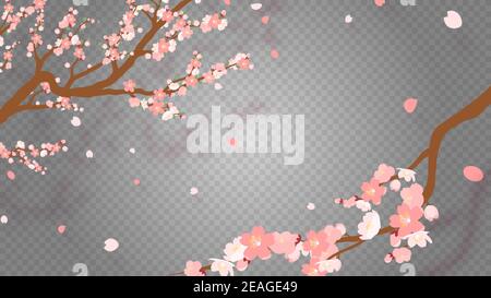 Sakura Zweig mit fallenden Blütenblättern Vektor-Illustration. Rosa Kirschblüte auf transparentem Hintergrund. Stock Vektor