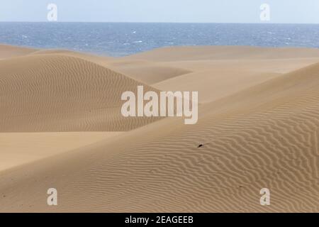 Wüstendünen und Sand ändern Form und Farbe durch Wind weht Stockfoto