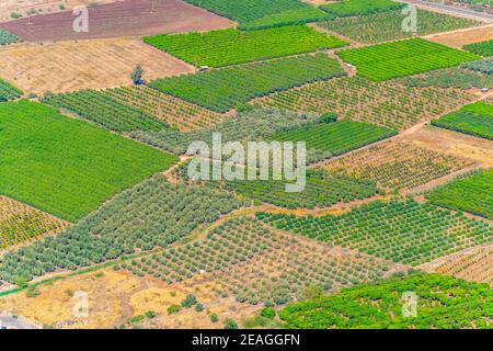 Felder und Obstgärten in der Nähe des Sees von galiläa in Israel Stockfoto