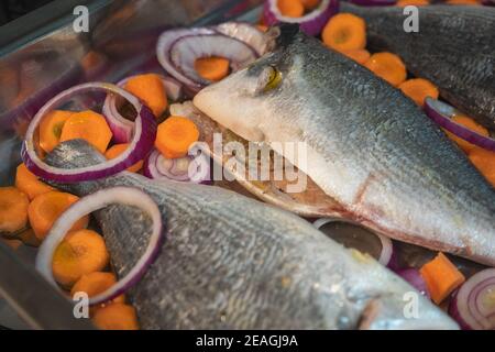 Goldbrasse (Sparus aurata) Fisch vorbereitet, um in den Ofen gestellt werden Stockfoto