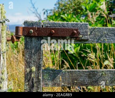 Verfallene Pfosten- und Schienentore, bedeckt mit Moos und Flechten mit einem rostigen Eisenscharnier in einem überwucherten Feld. Stockfoto