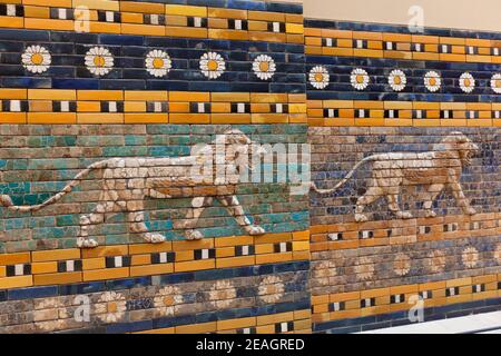 Berlin, Deutschland Löwen auf glasierten Backsteinen schmücken den rekonstruierten Prozessionsweg vom Ishtar-Tor im Pergamonmuseum. Stockfoto