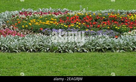Große breite Blumenbeet mit verschiedenen Blumen und Pflanzen unter gesättigten Grünes Gras im sonnigen Sommertag Stockfoto