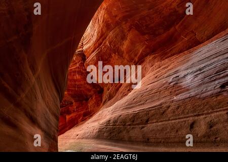 Der atemberaubend schöne schmale Slot Canyon, bekannt als Red Canyon, auch bekannt als Peek-a-Boo Canyon, in der Nähe von Kanab, Utah, USA Stockfoto