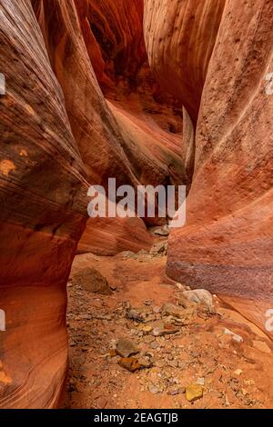 Der atemberaubend schöne schmale Slot Canyon, bekannt als Red Canyon, auch bekannt als Peek-a-Boo Canyon, in der Nähe von Kanab, Utah, USA Stockfoto