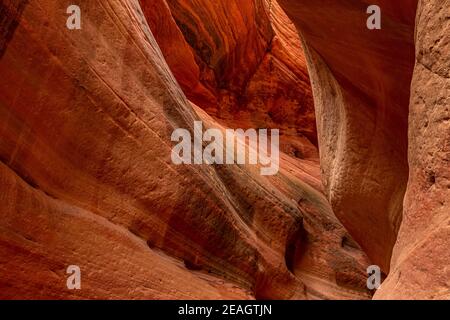 Der atemberaubend schöne schmale Slot Canyon, bekannt als Red Canyon, auch bekannt als Peek-a-Boo Canyon, in der Nähe von Kanab, Utah, USA Stockfoto