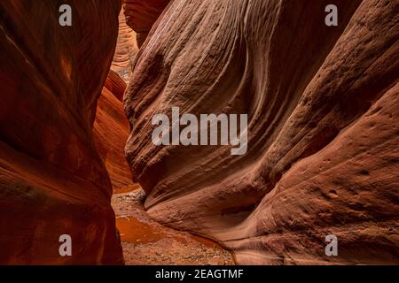 Der atemberaubend schöne schmale Slot Canyon, bekannt als Red Canyon, auch bekannt als Peek-a-Boo Canyon, in der Nähe von Kanab, Utah, USA Stockfoto