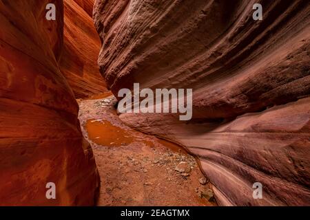 Der atemberaubend schöne schmale Slot Canyon, bekannt als Red Canyon, auch bekannt als Peek-a-Boo Canyon, in der Nähe von Kanab, Utah, USA Stockfoto