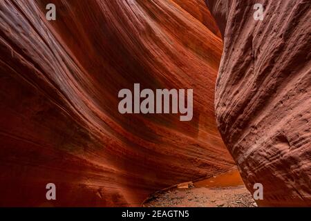 Der atemberaubend schöne schmale Slot Canyon, bekannt als Red Canyon, auch bekannt als Peek-a-Boo Canyon, in der Nähe von Kanab, Utah, USA Stockfoto