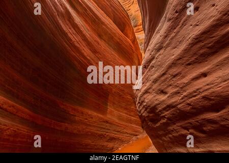 Der atemberaubend schöne schmale Slot Canyon, bekannt als Red Canyon, auch bekannt als Peek-a-Boo Canyon, in der Nähe von Kanab, Utah, USA Stockfoto