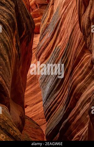 Der atemberaubend schöne schmale Slot Canyon, bekannt als Red Canyon, auch bekannt als Peek-a-Boo Canyon, in der Nähe von Kanab, Utah, USA Stockfoto